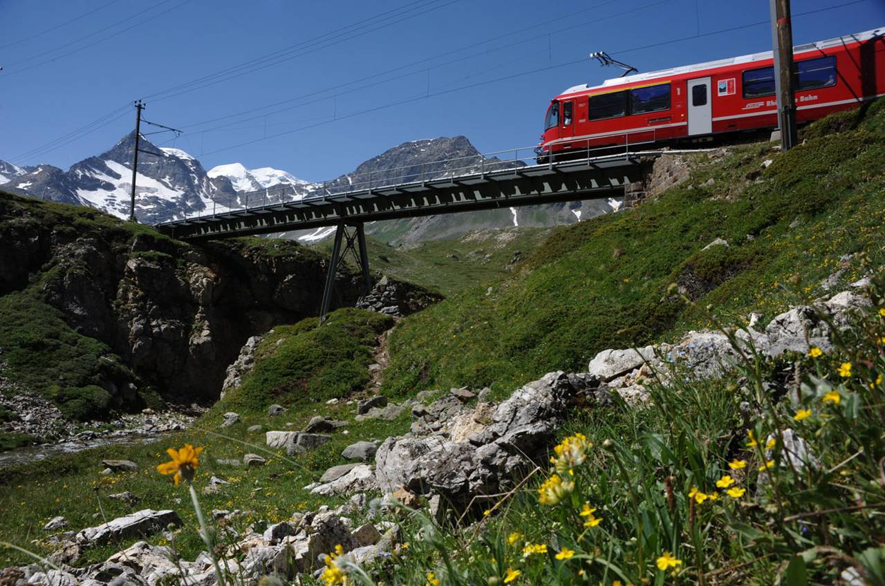 rhb8137