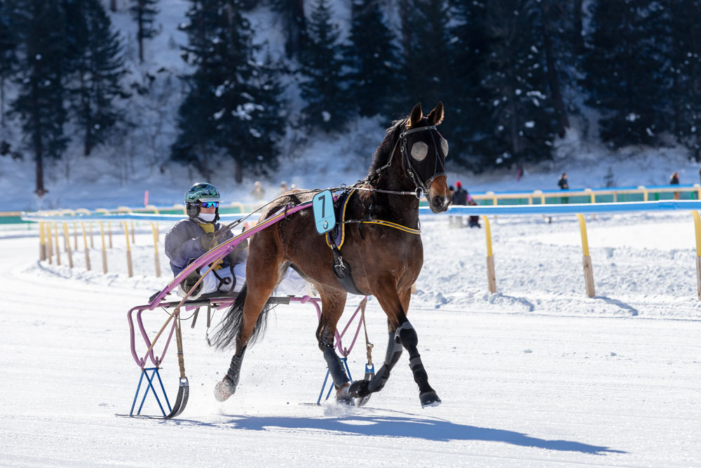 white turf 4003736