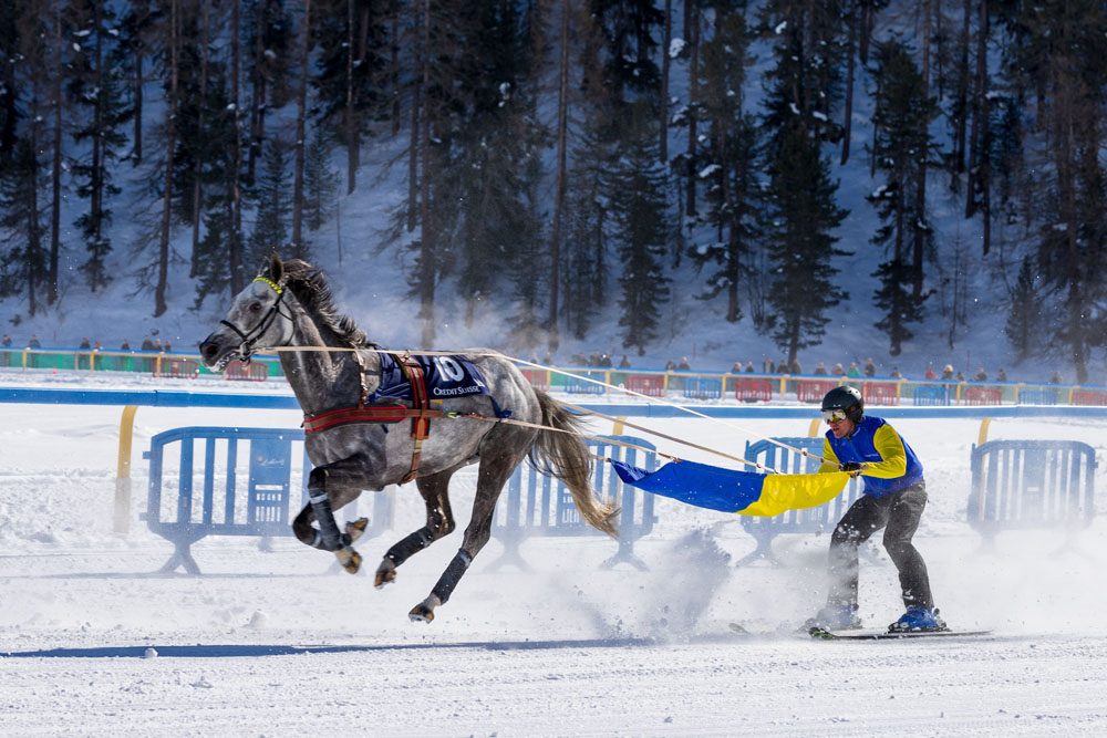 white turf 4003739