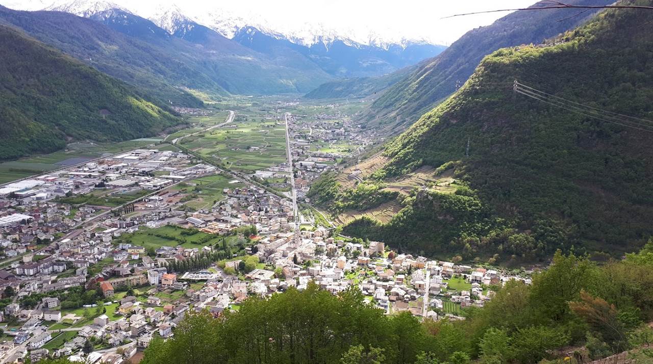 tirano6