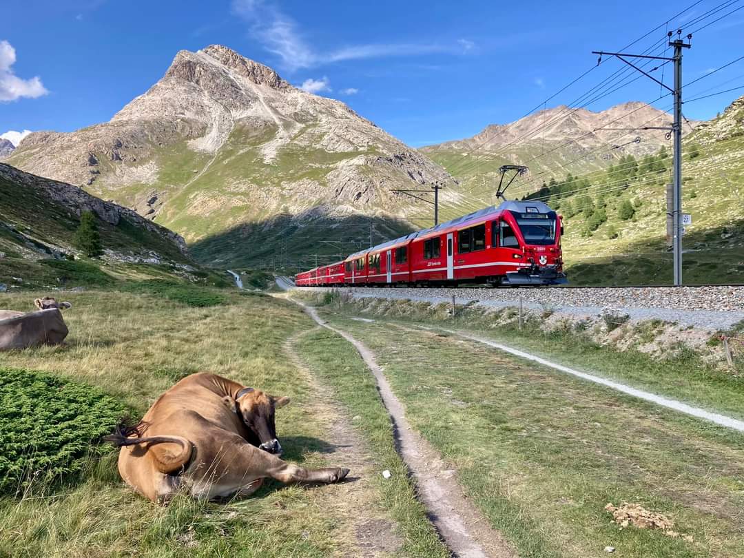 trenino7